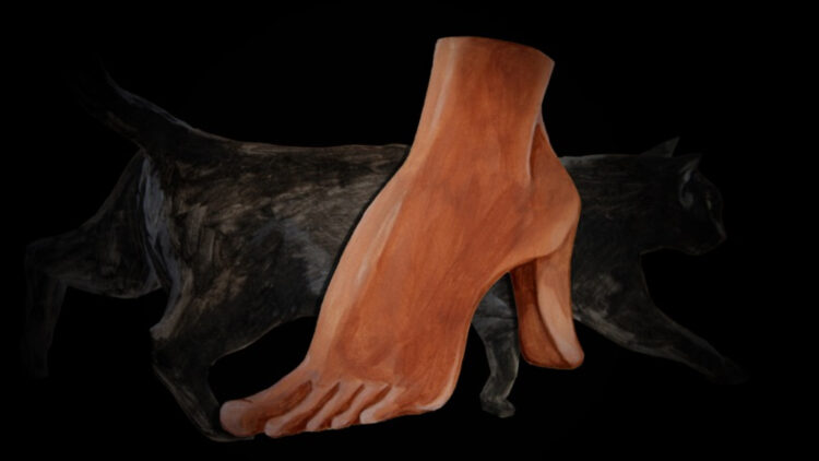 judith butler feet 4