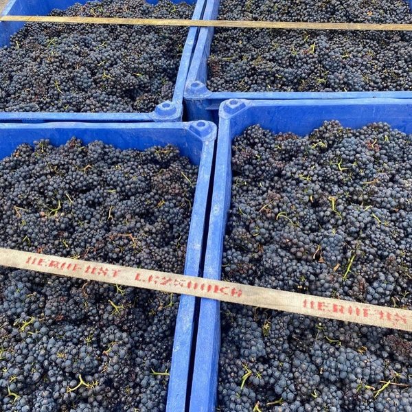 jules laurenandjules feet 4