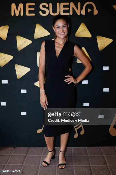 julia arguelles feet 4