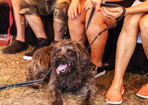 julia carbajal cabrera feet 5