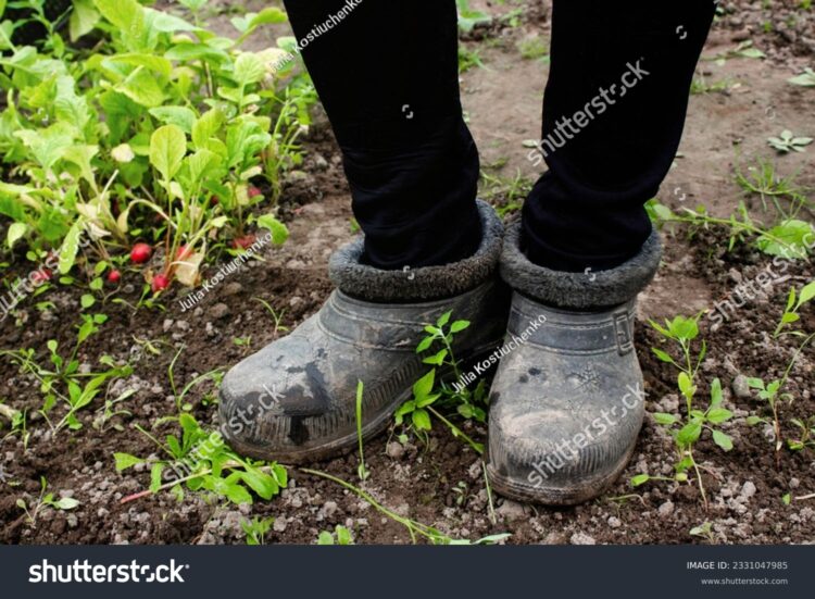 julia kostiuchenko feet 1