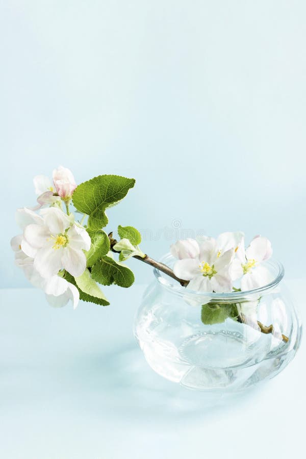 julia kostiuchenko feet 6