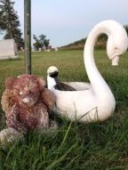 julia markham feet 2