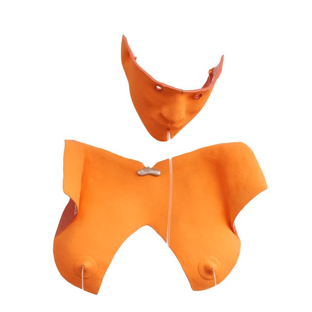 julia phillips feet 6