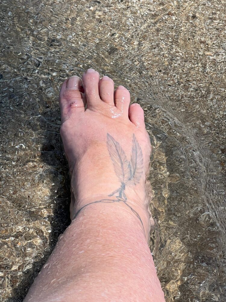 julia schwartz feet 4