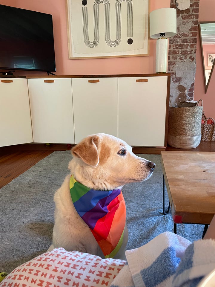 julia turshen feet 4