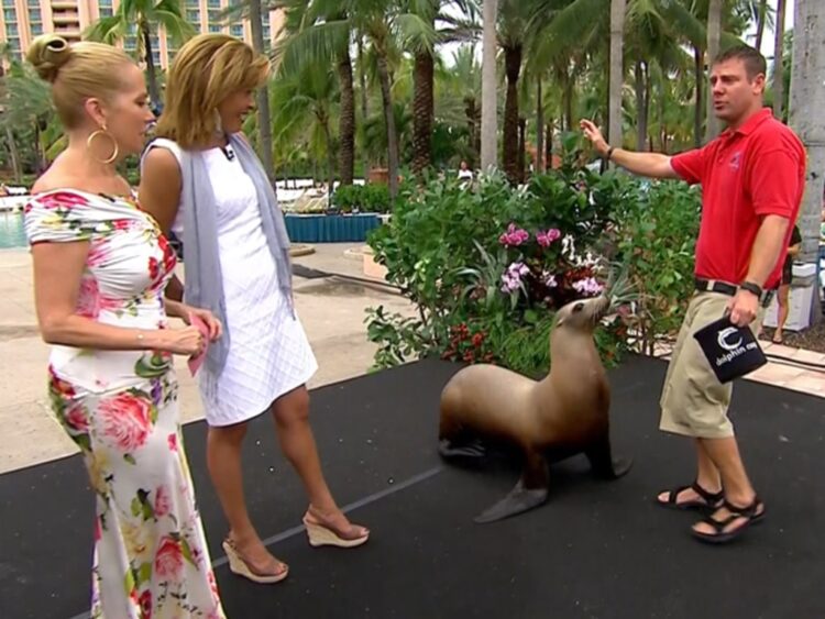 julieanne smolinski feet 6