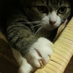 junko takeuchi feet 3