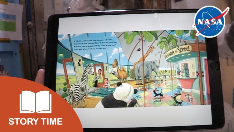 k megan mcarthur feet 5