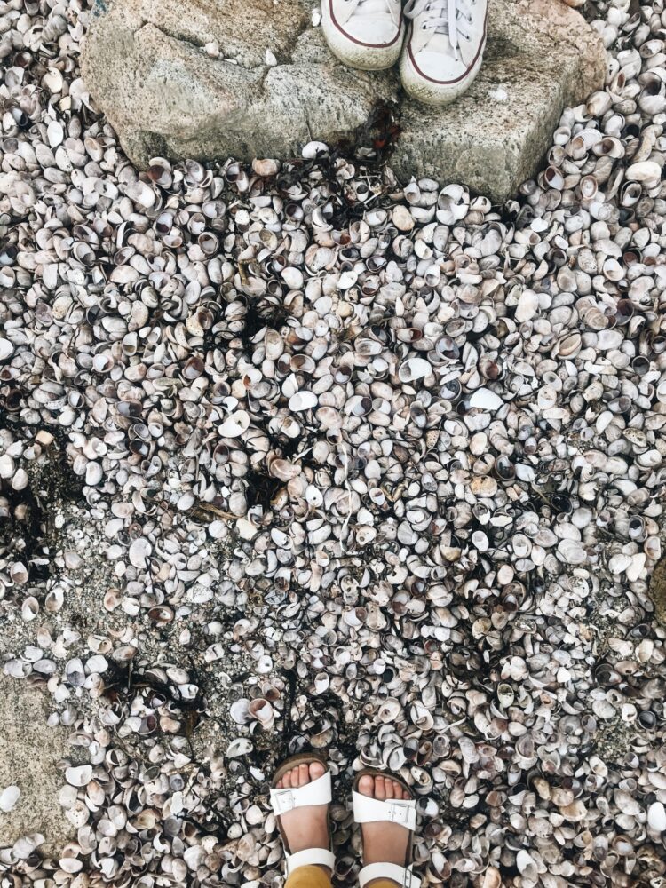 kahla gilmore feet scaled