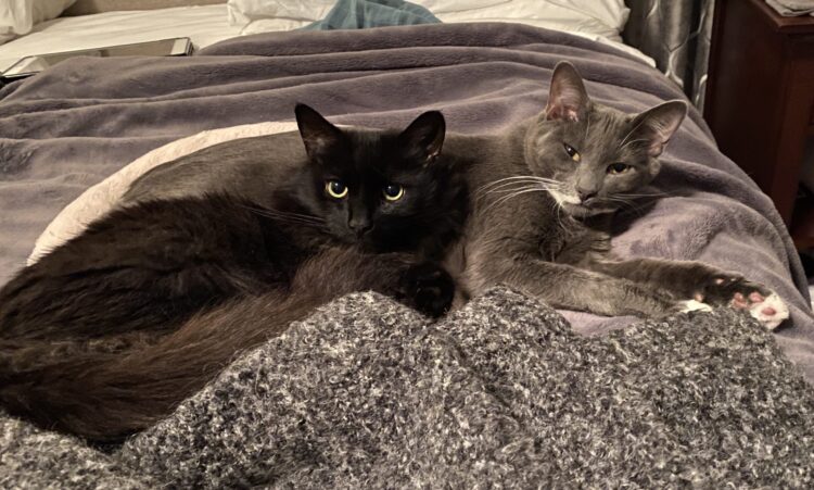 kaitlin witcher feet 6