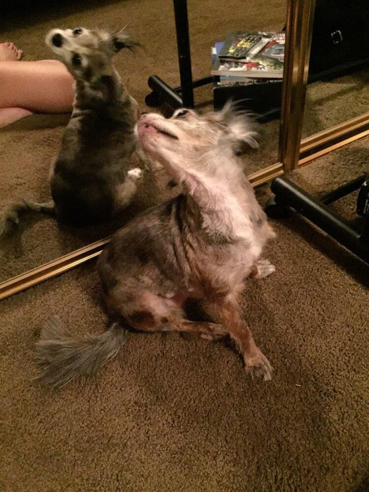 kalia prescott feet 4