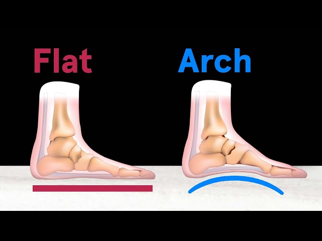 kameryn omari feet 5