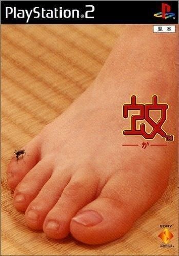 kanako enomoto feet 4