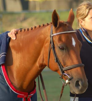 karen oconnor feet 4