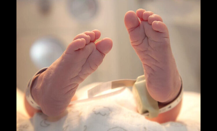 karina bacchi feet 6