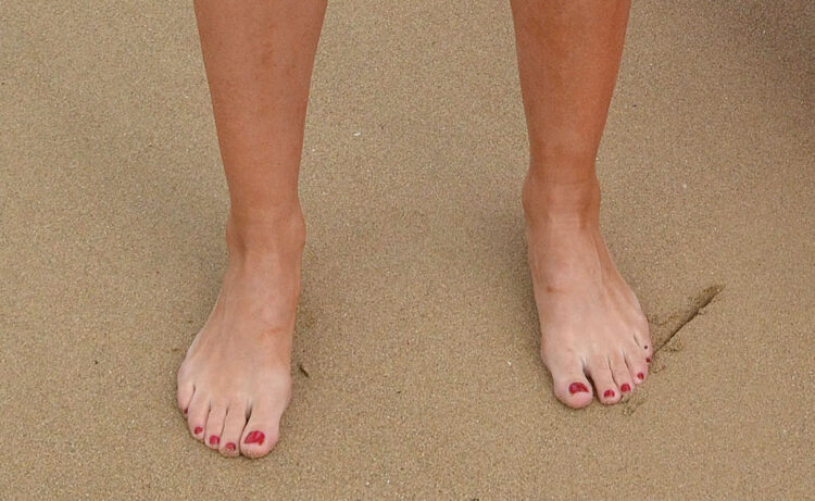 karina smirnoff feet