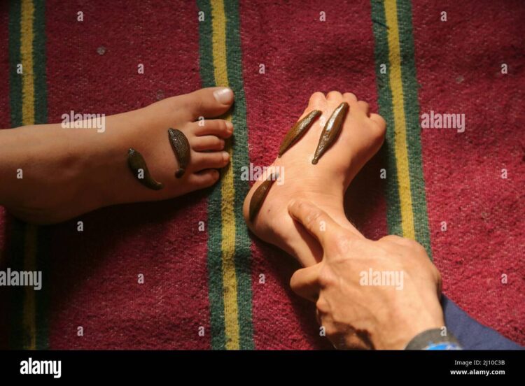 kashmir thompson feet 6