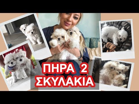 katalina himona feet 3