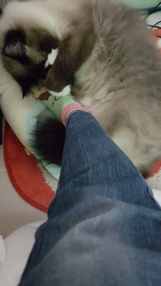 kate letourneau feet 5