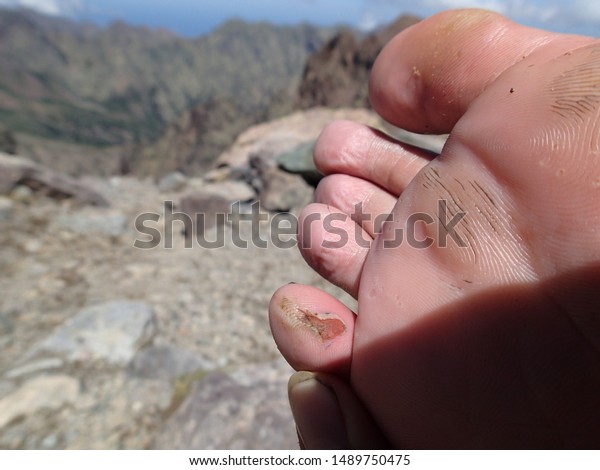 katerina safarova feet 4