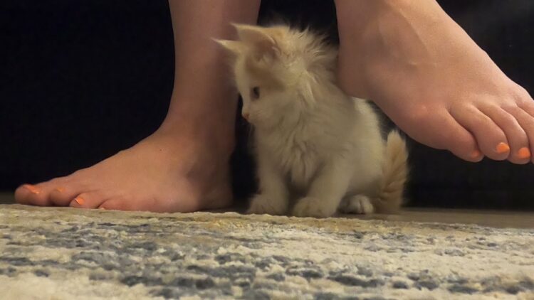 katesbeautystation feet 1