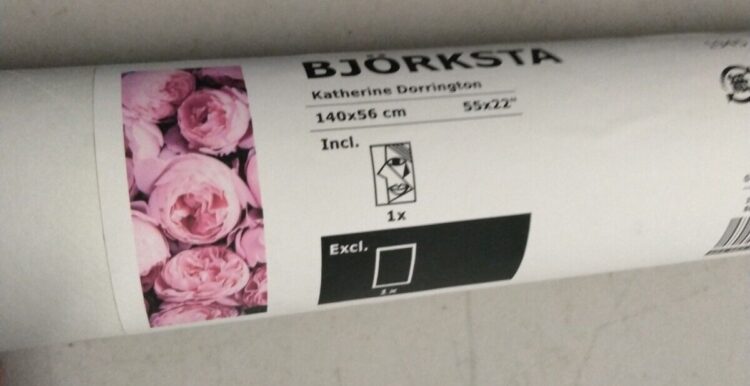 katherine dorrington feet 5