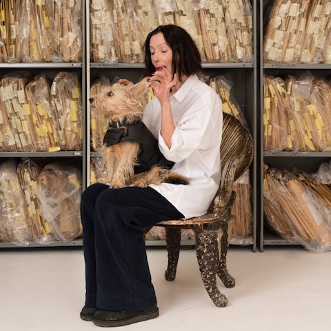 katherine hamnett feet 6