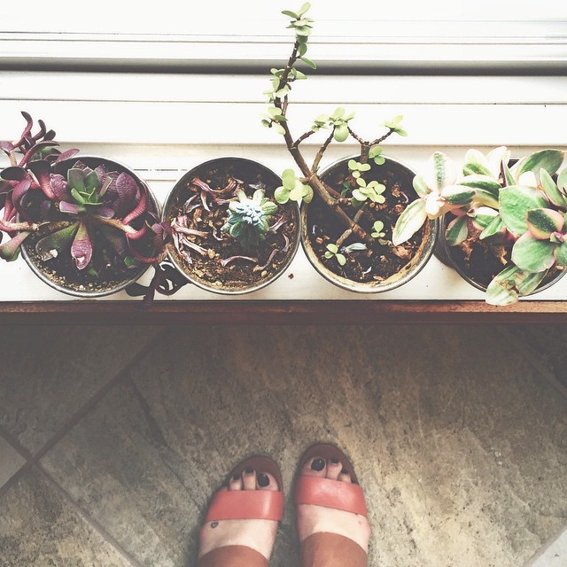 katie cockrell feet 4