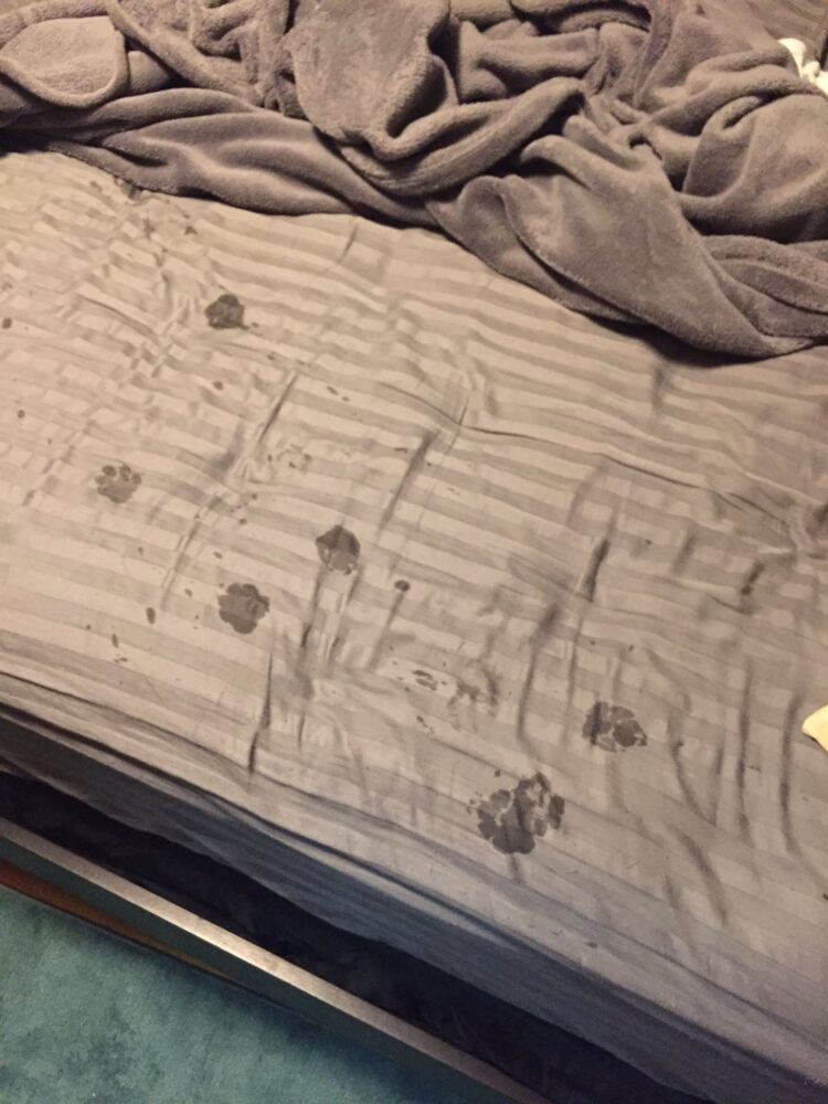 katieplaysstuff feet 1