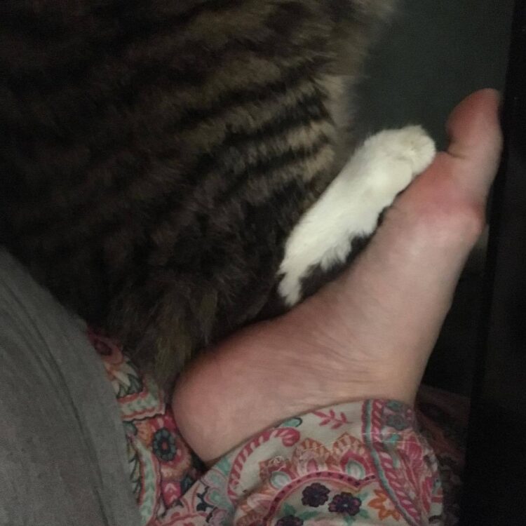 katrina sherwood feet 3