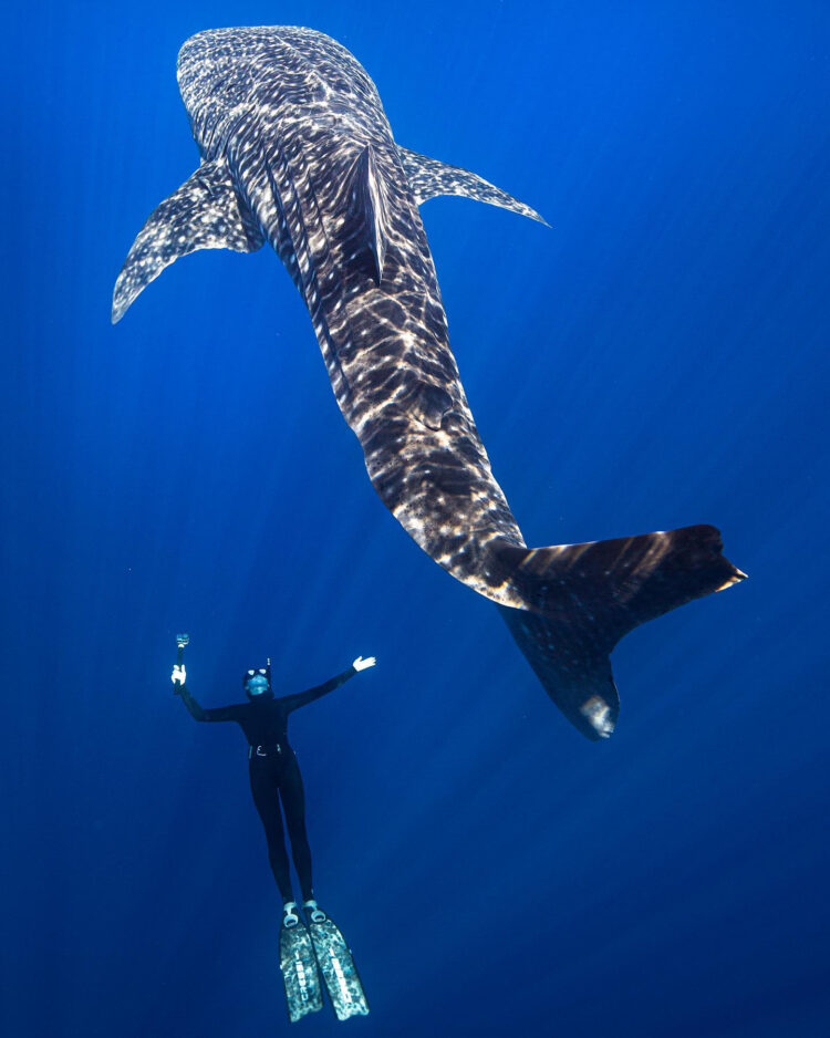 kayleigh nicole grant feet 2