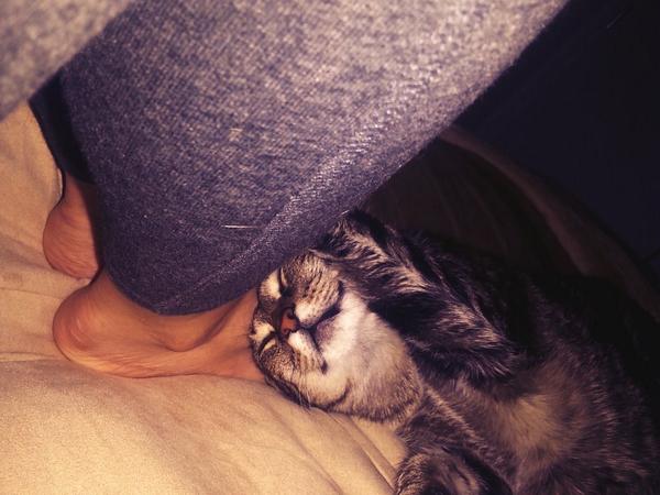 kayleigh noelle feet