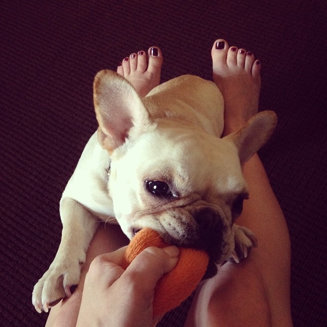 kellee stewart feet 6