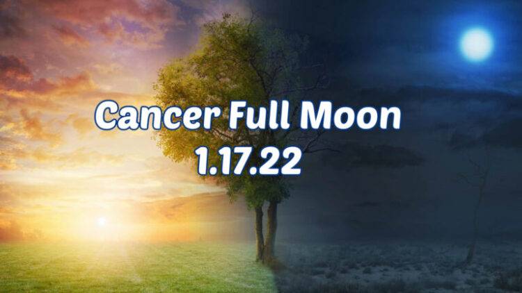 kelley rosano feet 5