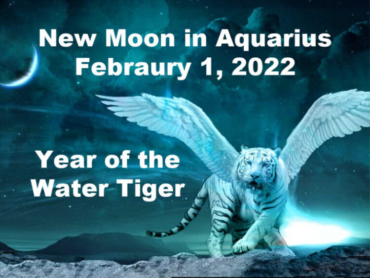 kelley rosano feet 6