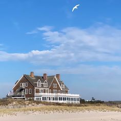 kelli delaney feet 4