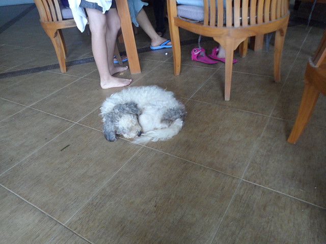 kellie crawford feet 3