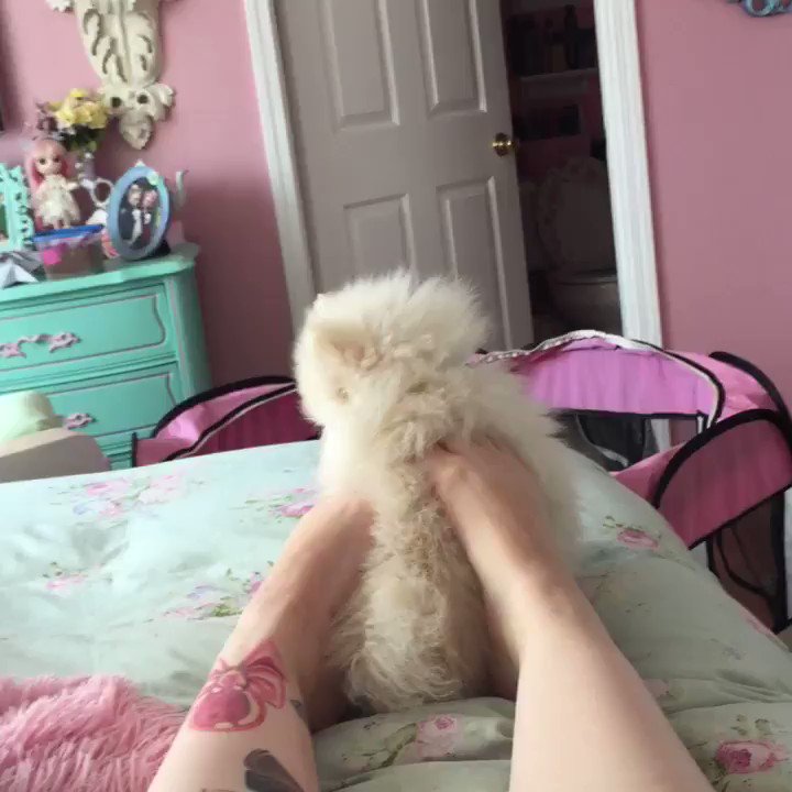 kelly eden feet 1