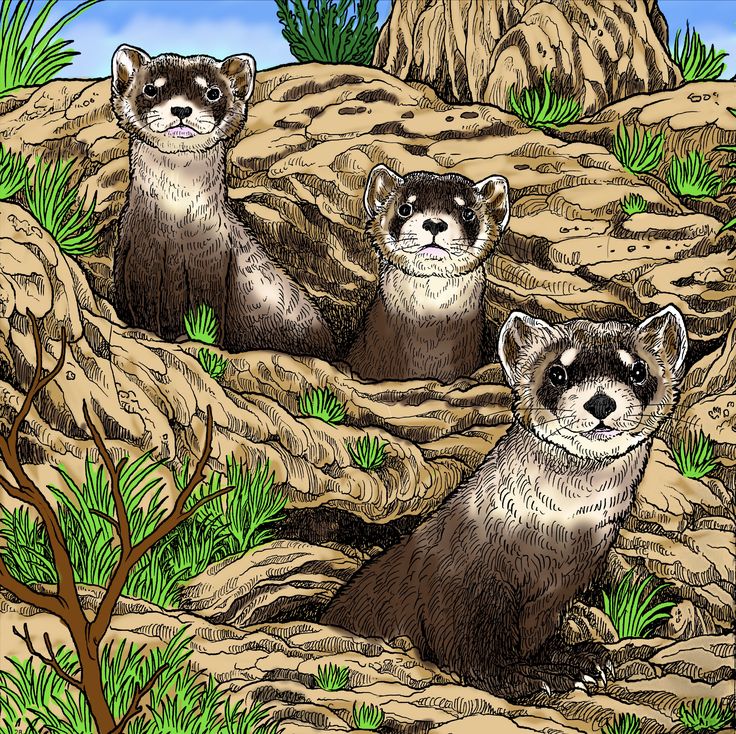 kerby rosanes feet 4