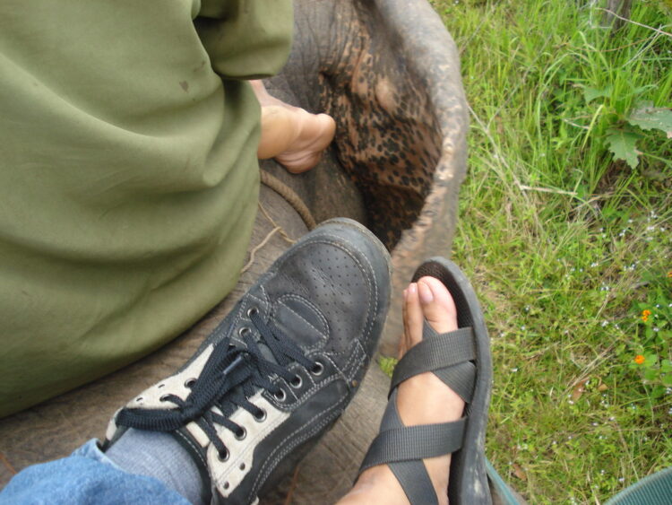 khanh linh feet 3