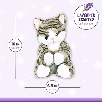 kiki hermetic kitten feet 4