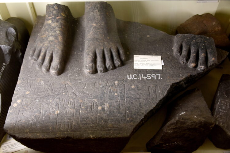king myers feet 2 scaled