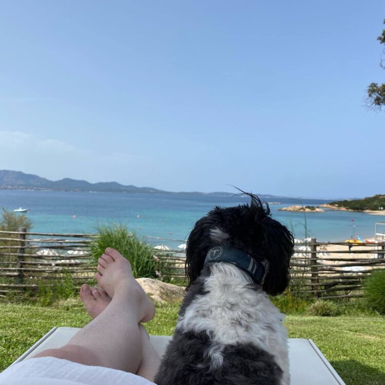 kirsten powers feet 3