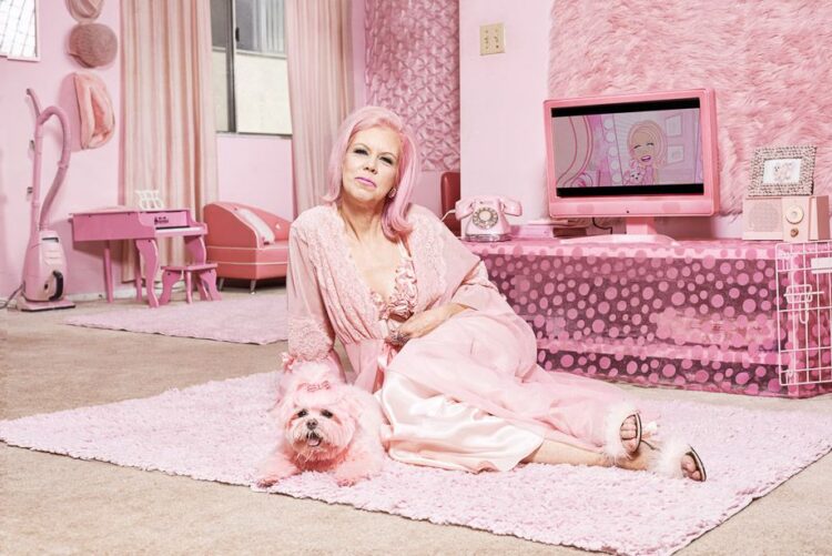 kitten kay sera feet 1