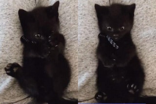 kitty katrina feet 1