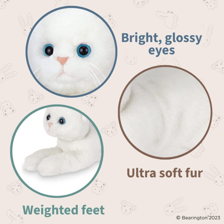 kitty muffin feet 6