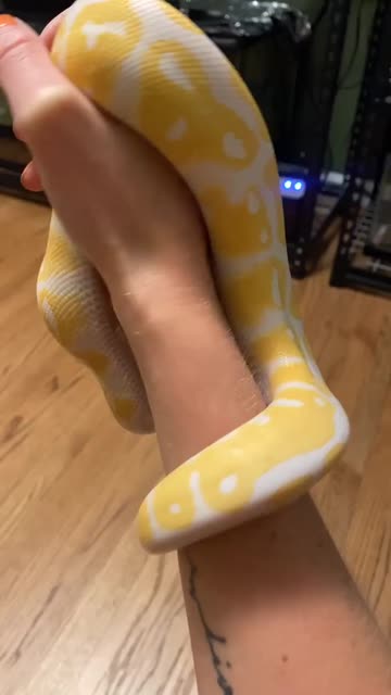 krista kameleon feet 2