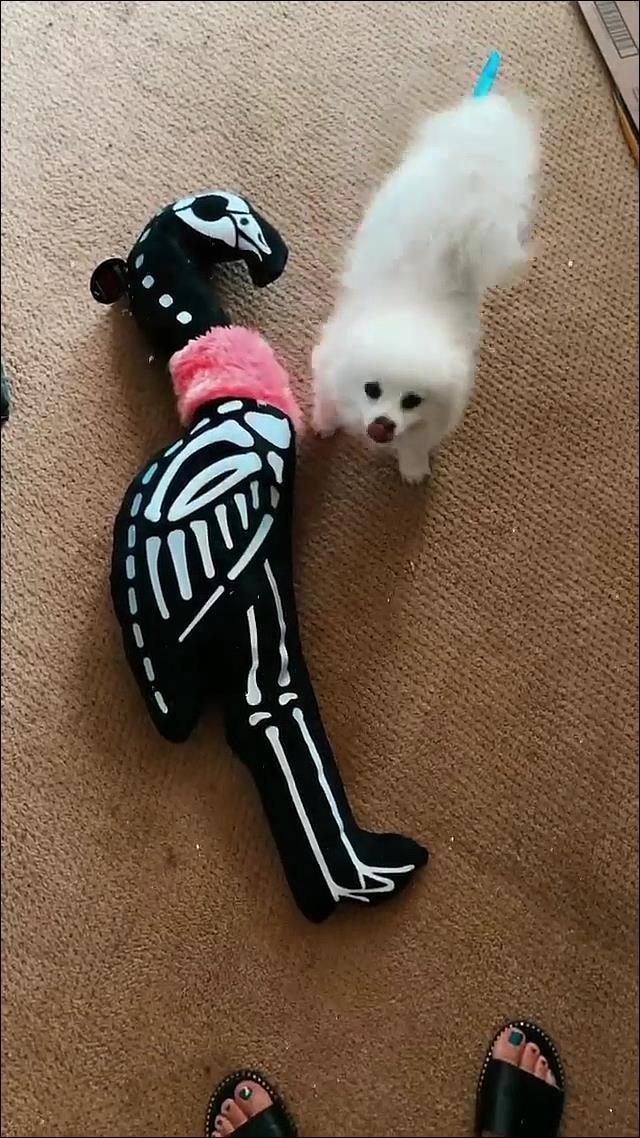 kristen leanne feet 2