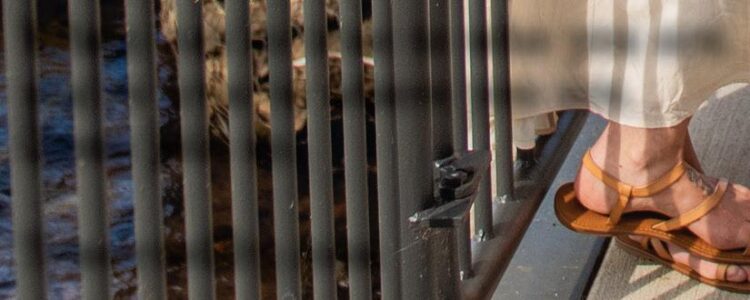 kristen victoria kassab feet 6